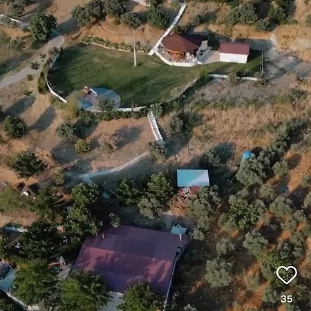 Sirince Citak Konaklari *